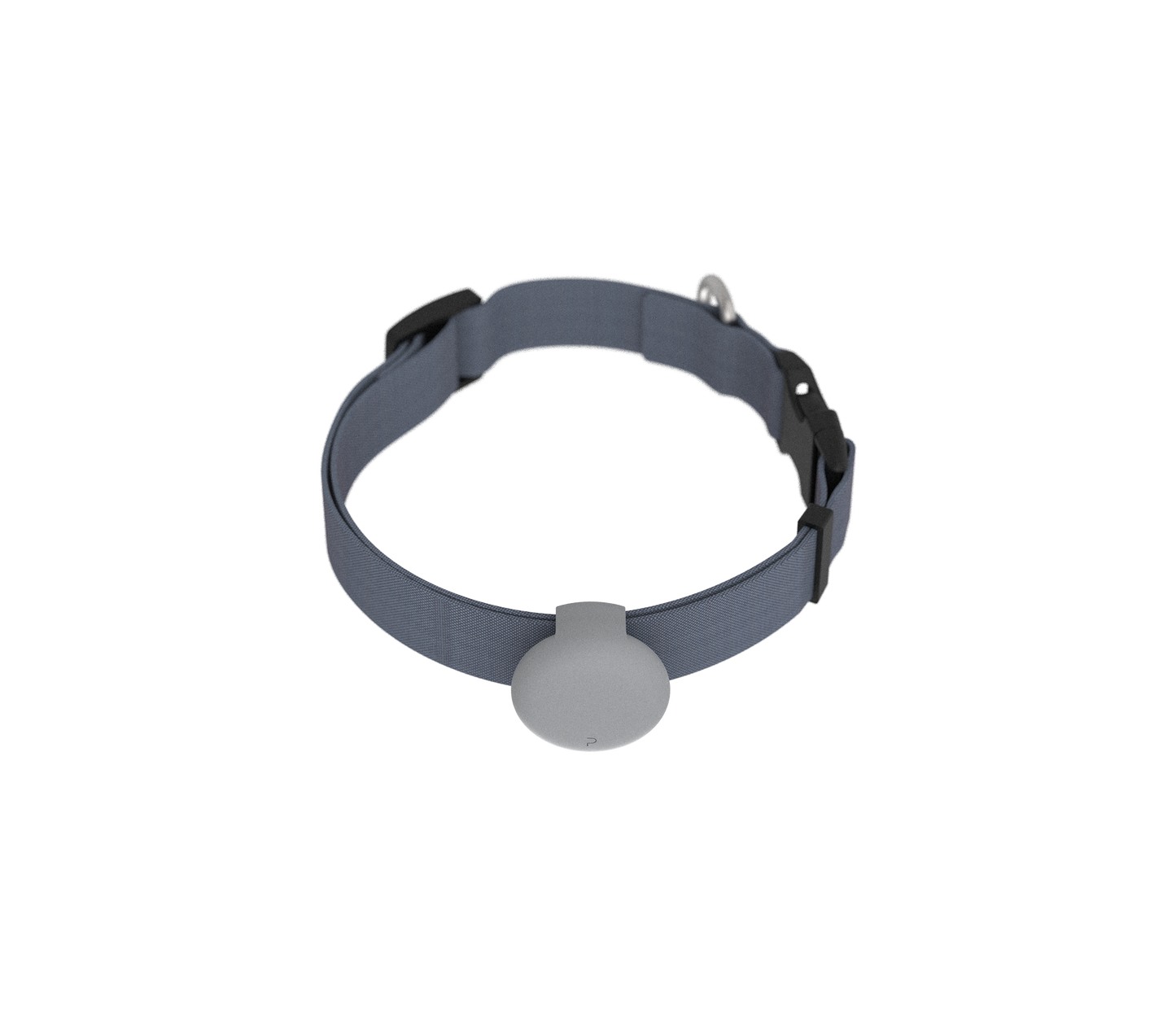 DogTag